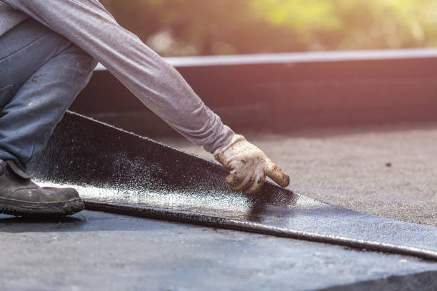 Professional Interior Drainage System technician working in Blair, WI